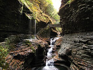 <span class="mw-page-title-main">Watkins Glen State Park</span> State park in New York state, United States