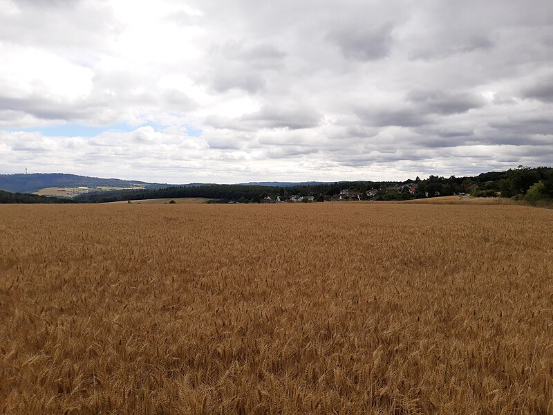 File:Watzhahn fields.jpg