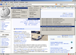 Web Developer menu ES.PNG