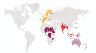 <span class="mw-page-title-main">The Leprosy Mission</span>