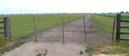 Wire or "Hampshire" gate