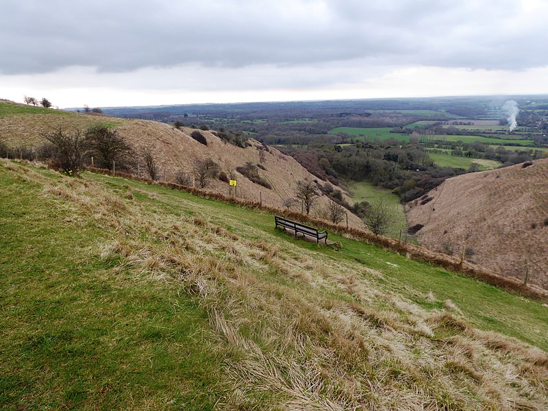 File:Wye Downs NNR 6.jpg