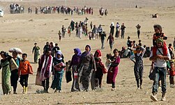 Yezidi Refugees Yazidi Genocide.jpg