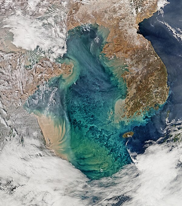 Brown sediment spills out into the Yellow Sea from rivers in eastern China and Korea. The nutrients in the sediment may be responsible for the bloom o