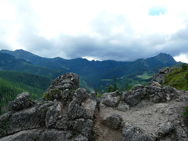 File:Zakopane 2016 summer 258.JPG