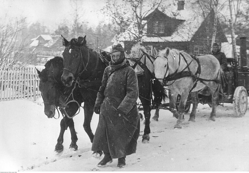 File:Zaprzęg konny z kuchnią polową w drodze do jednostek niemieckich pod Leningradem (2-866).jpg