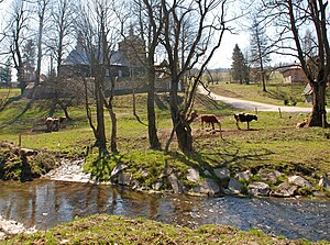 Zdynia, cerkiew Opieki Matki Bożej (HB9).jpg