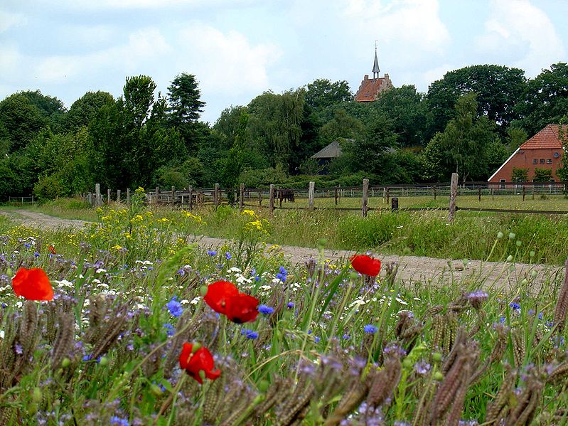 File:Zicht op Anloo.jpg