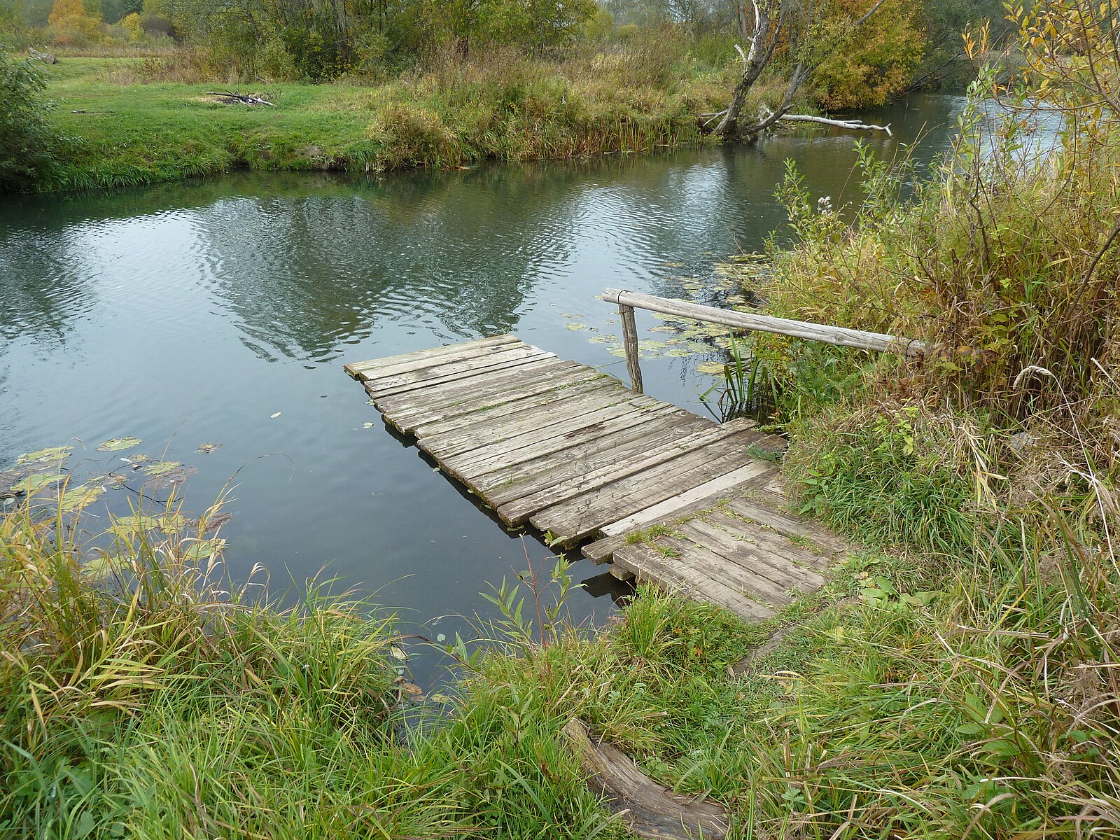 Река серая