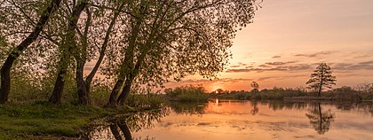 Amanhecer no rio Sula, parque natural nacional do Baixo Sula, região de Poltava, Ucrânia. O Sula é um afluente esquerdo do Dniepre com um comprimento total de 363 km e uma bacia de drenagem de 19 600 km². O rio deságua no Dnieper através do reservatório de Kremenchuk, com o qual forma um grande delta com inúmeras ilhas, nas quais vivem espécies raras de pássaros. As grandes cidades localizadas às margens do rio são: Romny, Lokhvytsia e Lubni. (definição 5 984 × 2 250)