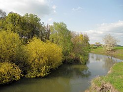 Река Тунджа в района на град Елхово