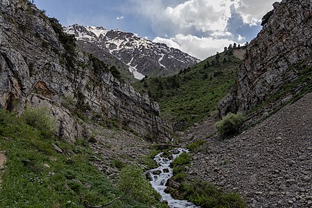 172. Ugom Chatkal State National Natural Park author - Marat Nadjibaev