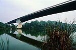 Miniatura para Puente del Milenario