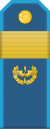 05.Turkmenistan Air Force-SSGT.svg