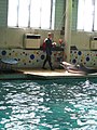Русский: Гастроли севастопольского дельфинария в Донецке
