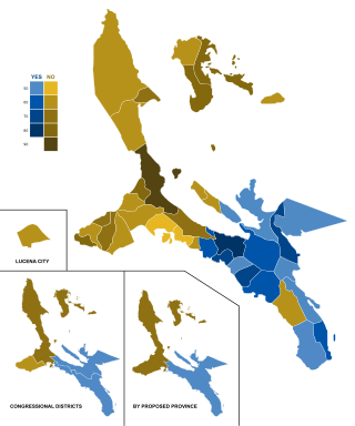 <span class="mw-page-title-main">2008 Quezon del Sur creation plebiscite</span> 2008 referendum