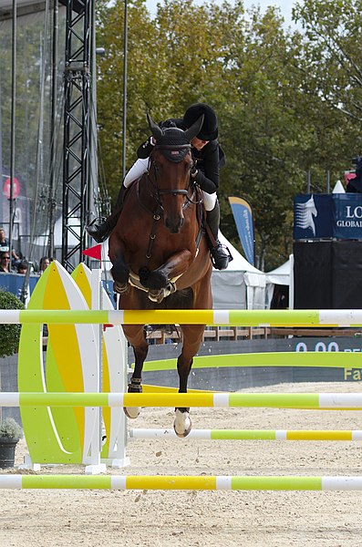 File:2013 Longines Global Champions - Lausanne - 14-09-2013 - Faye Schoch et Nouvelle Europe Z 5.jpg