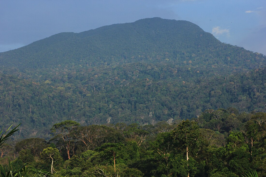 Mount Belumut