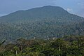 Mount Belumut covered in vegetation