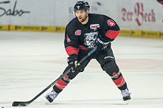 2014 DEL Nürnberg Ice Tigers - Evan Kaufmann von 2eight DSC8859.jpg