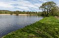 Deutsch: Rößlesmahdsee bei Waldenburg (Naturschutzgebiet Rößlesmahdsee mit Pfaffenklinge, Hohenlohekreis, Schutzgebiets-Nr. 1.110.)