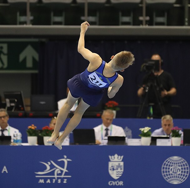 File:2019-06-27 1st FIG Artistic Gymnastics JWCH Men's All-around competition Subdivision 3 Floor exercise (Martin Rulsch) 154.jpg