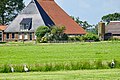 ooievaren en reiger ten noordoosten van Woudsend