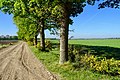 Drents landschap nabij Gees