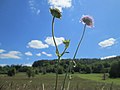 Vorschaubild der Version vom 09:45, 1. Jun. 2020