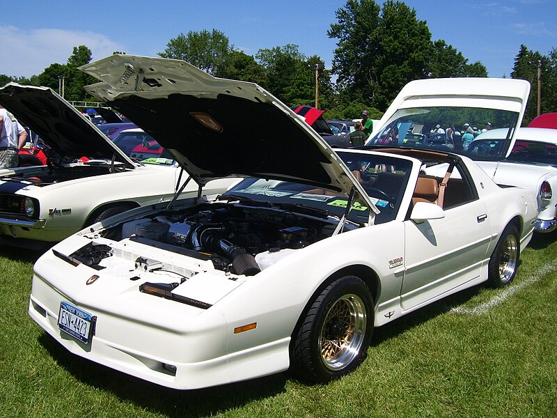 File:1985 Pontiac Fiero GT rear right.jpg - Wikipedia