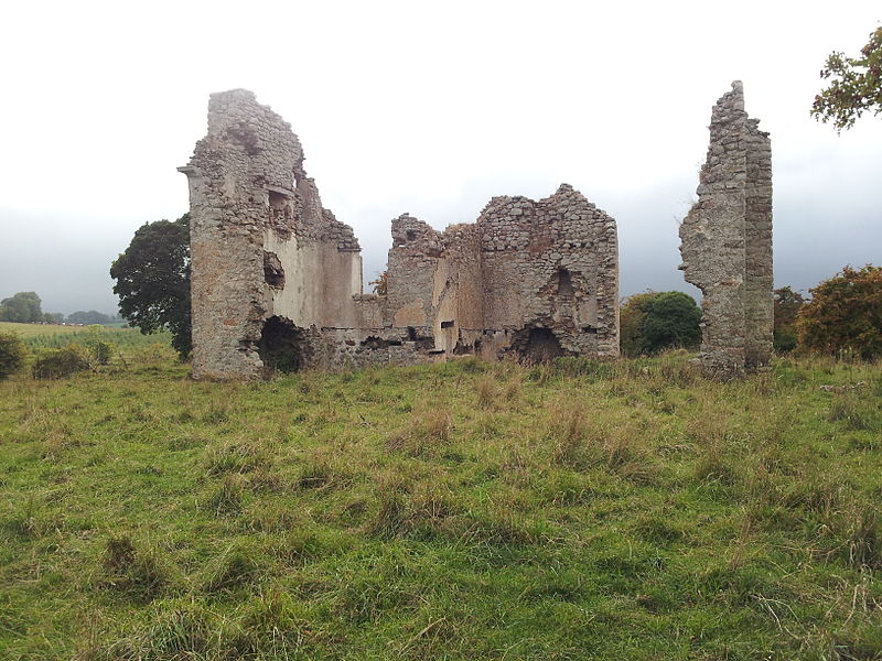 29. Ballyloughan Castle, Co. Carlow.jpg