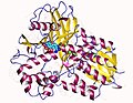 Vignette pour Protoporphyrinogène oxydase