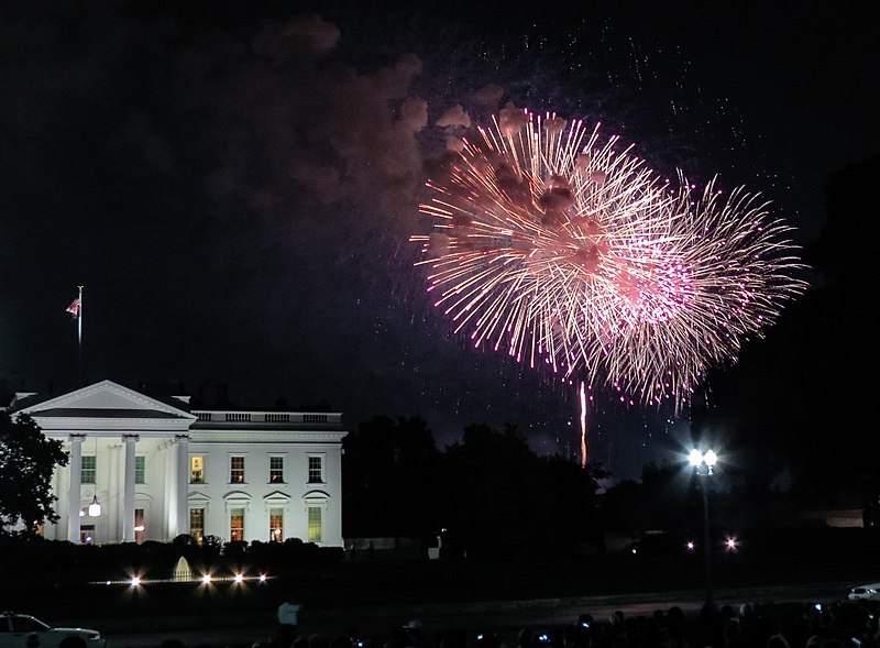 File:4th of July Fireworks - Washington DC (7511076722).jpg