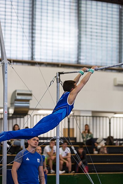 File:5th Budapest Cup 2019-05-25 Ivan Sevruk (Norman Seibert) - 02090.jpg