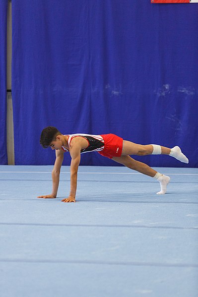 File:5th Budapest Cup 2019-05-26 Volkan Arda Hemeret (Norman Seibert) - 04164.jpg