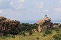 Abuabo Rocks 5