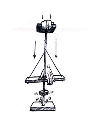 Controle Do Fogo Pelos Primeiros Humanos