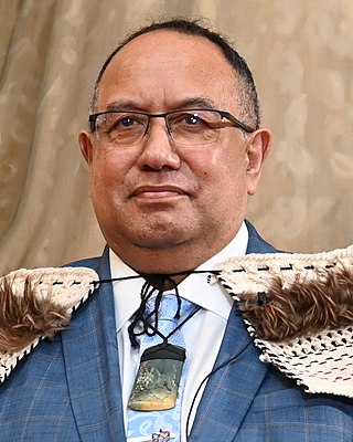 <span class="mw-page-title-main">Adrian Rurawhe</span> New Zealand politician