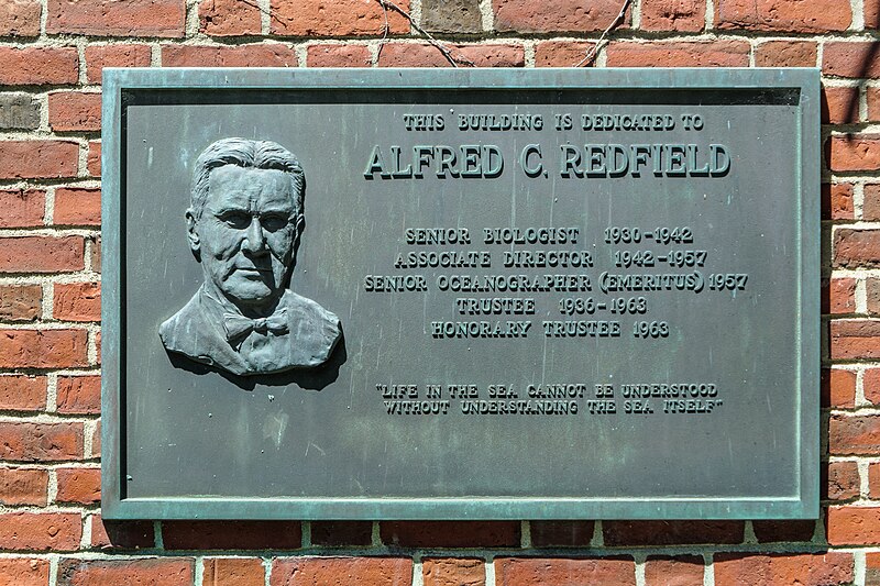 File:Alfred Redfield plaque.jpg