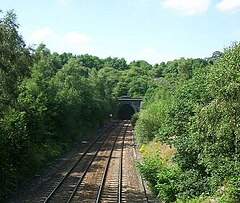 Alfreton Tunnel South Portal - cropped 228156.jpg