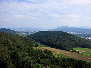 View of the Hasleren with Zurich in the background as seen from the Altberg observation tower