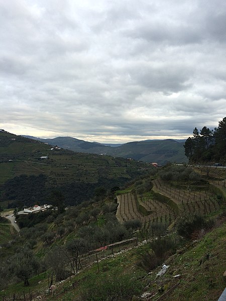 File:Alto Douro Vinhateiro (24418026320).jpg