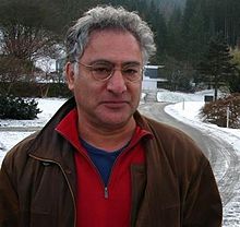 Anand Pillay, Oberwolfach 2010 Anand Pillay.jpg