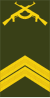 Angola-Army-OR-4b.svg