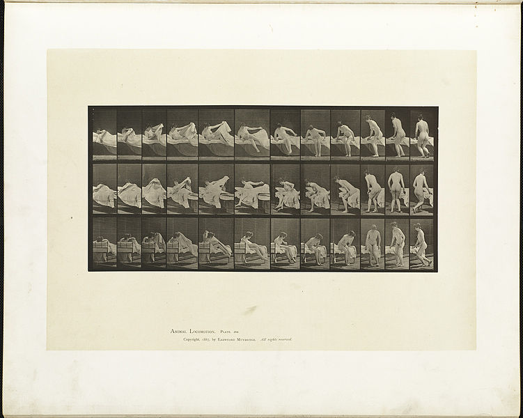 File:Animal locomotion. Plate 264 (Boston Public Library).jpg