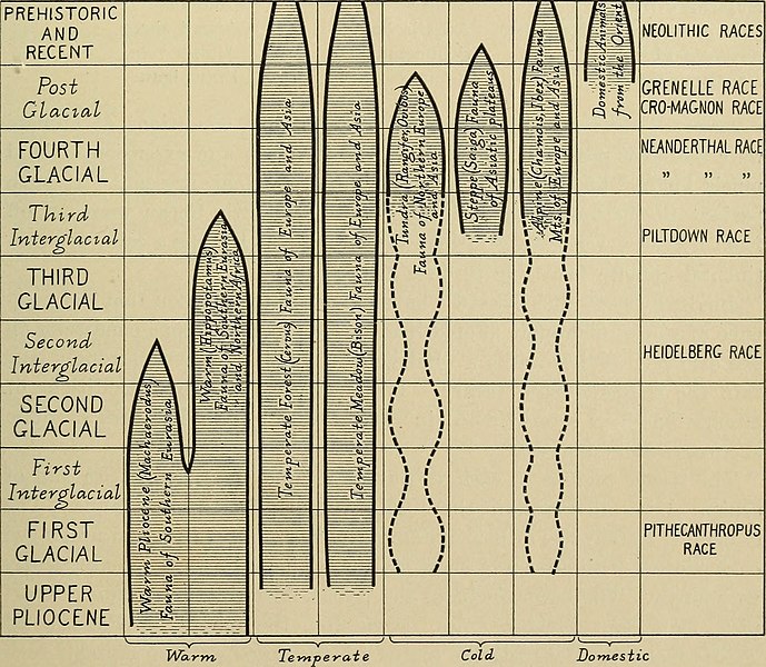 File:Annals of the New York Academy of Sciences (1915) (18415908631).jpg