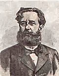 Antônio Luís von Hoonholtz