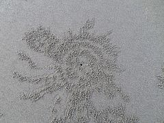 Art work by red crabs in the beach.jpg