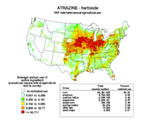 A map of pounds per square mile of atrazine application in the U.S. in 1997 AtrazineUSAMap.png