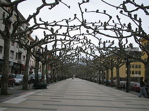 Avenida de España.jpg
